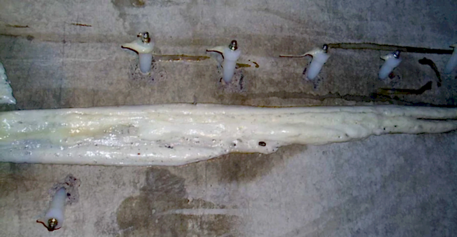 Poliüretan Enjeksiyon Su İzolasyonu - İzoen İzolasyon